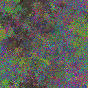 World at epoch 18000