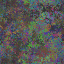 World at epoch 19000