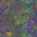 World at epoch 20010