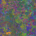 World at epoch 20010
