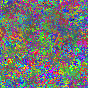 World at epoch 25000