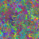 World at epoch 25000