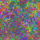 World at epoch 25000