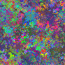 World at epoch 24000