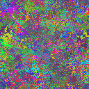 World at epoch 25000