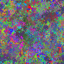 World at epoch 25000
