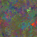 World at epoch 24000