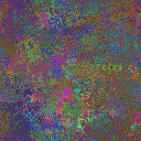 World at epoch 24000