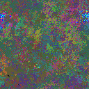 World at epoch 24000