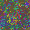World at epoch 25000