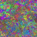 World at epoch 35000