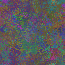 World at epoch 25000