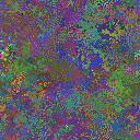World at epoch 25000