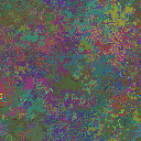 World at epoch 25000