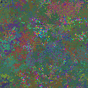 World at epoch 26000