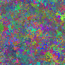 World at epoch 40000