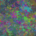 World at epoch 35000