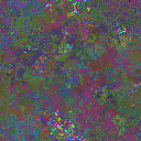 World at epoch 30000