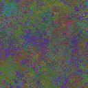 World at epoch 31000