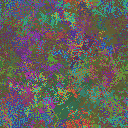 World at epoch 31000