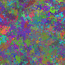 World at epoch 35000