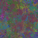 World at epoch 35000