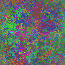 World at epoch 38000