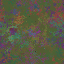 World at epoch 35000