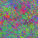 World at epoch 25000