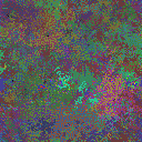 World at epoch 40000