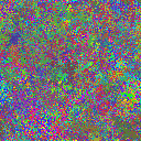 World at epoch 31000
