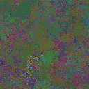World at epoch 39000