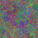 World at epoch 31000