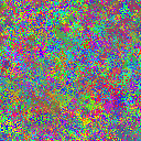 World at epoch 24000