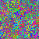 World at epoch 25000