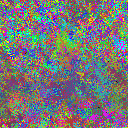 World at epoch 40000
