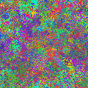 World at epoch 25000