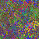 World at epoch 34000