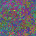 World at epoch 34000