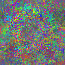 World at epoch 31000