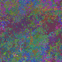 World at epoch 39000