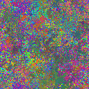 World at epoch 25000
