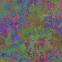 World at epoch 37000