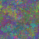 World at epoch 29000