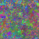World at epoch 35000