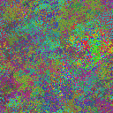World at epoch 31000