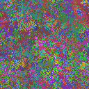 World at epoch 37000