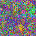 World at epoch 35000