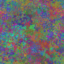 World at epoch 38000