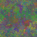 World at epoch 40000